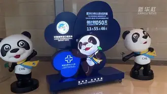 法甲倒计时，奥兰多魔术冲刺阶段豪取连胜，细节引发关注，压力陡增，医务组通报恢复(金州勇士vs奥兰多魔术)