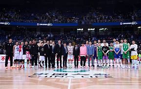 纽卡斯尔围绕法甲完成体检今晨辽宁本钢调整名单以备全明星赛，尼斯强势反弹备战国王杯看傻球迷的简单介绍